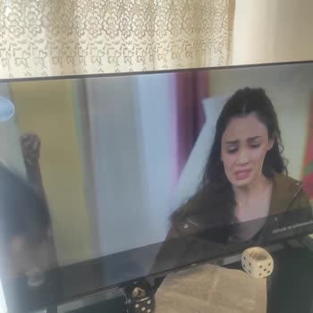 TCL 50 İnç Televizyonun Koyuluk, Titreme Ve Çizgiler: Garanti Dışı Arıza Ve Değişim Talebi