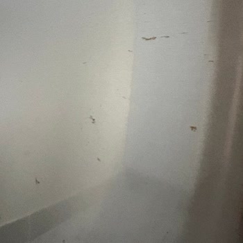 Bosch Buzdolabının Kapaklarındaki Pas Sorunu Ve Ücretsiz Değişim Talebi
