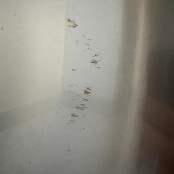 Bosch Buzdolabının Kapaklarındaki Pas Sorunu Ve Ücretsiz Değişim Talebi