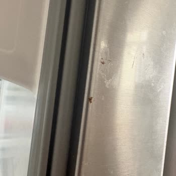 Bosch Buzdolabının Kapaklarındaki Pas Sorunu Ve Ücretsiz Değişim Talebi