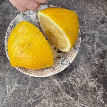 Latte Caffe Gebze Kötü Deneyim