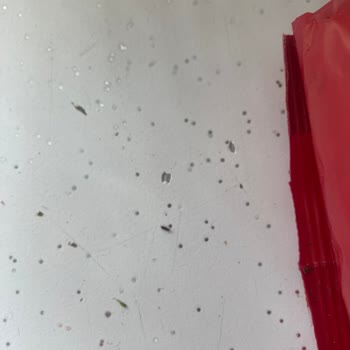 Filiz Makarna Paketi İçinde Siyah Böcekler Çıktı