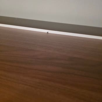 Montajda Gardırop Zarar Gördü, AVM’nin İlgisizliği Mağduriyeti Artırıyor