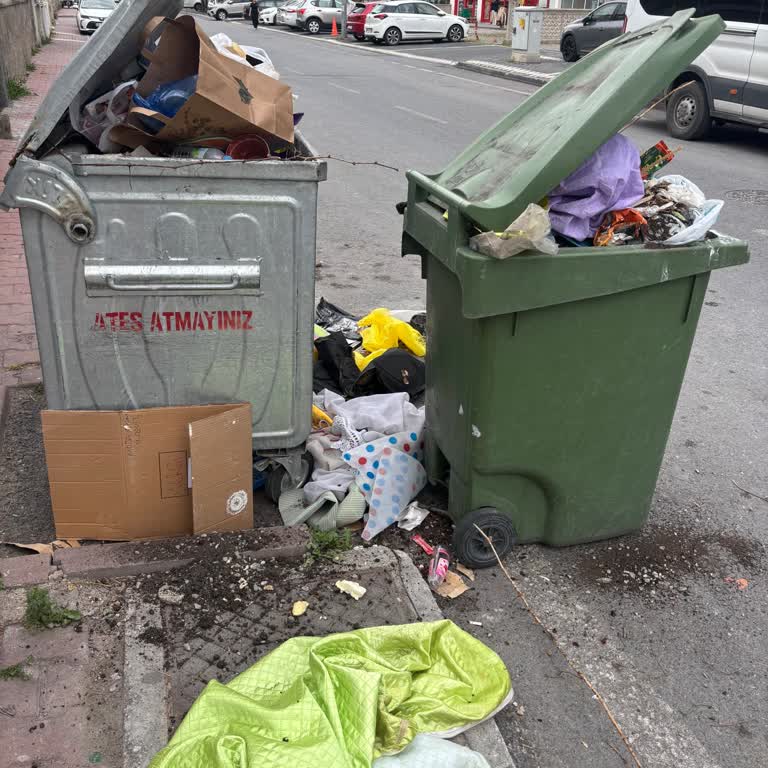 Lojman Konteyneri Yanlış Yere Bırakılarak Görüntü Kirliliği Ve Kötü Kokuya Neden Oluyor