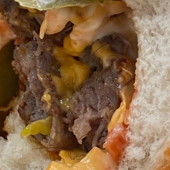 Hamburgerde Saç Kılı Bulunması Ve İade Reddi