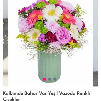 Osevio.com Yanlış Çiçek Teslimatı Annemin İlk Çiçeğini Mahvetti