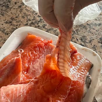 Somon Temizliği Ve Hizmette Eksiklik Şikayeti