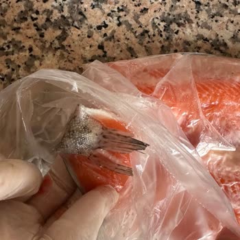 Talep Edilen Temizlik Yapılmadı, Somon Servisinde Haksızlık