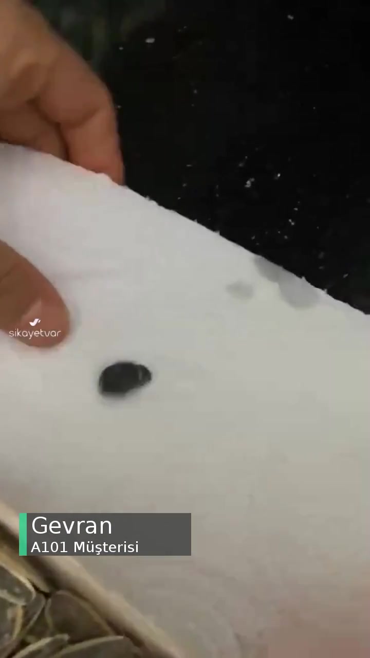 A101 Çekirdeğinde Böcek Çıktı videonun kapak resmi