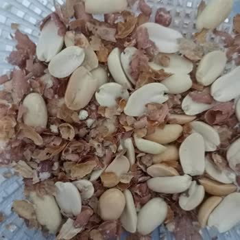 Boş Kabuklu Kuru Fıstıklar Müşteriyi Hayal Kırıklığına Soktu