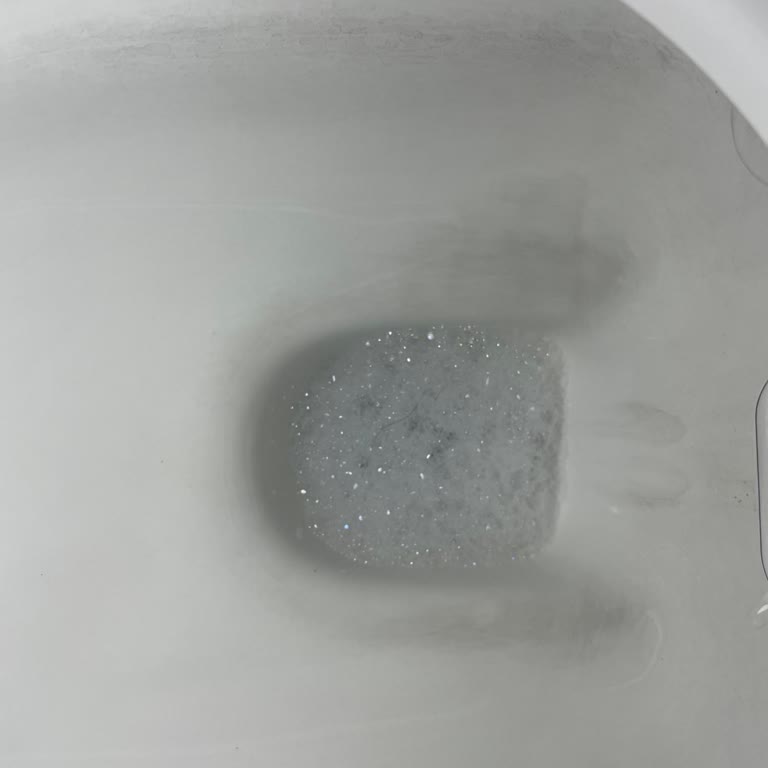 Vitra Klozetin Kararması Ve Yetkili Servisin Haksız Ücret Talepleri