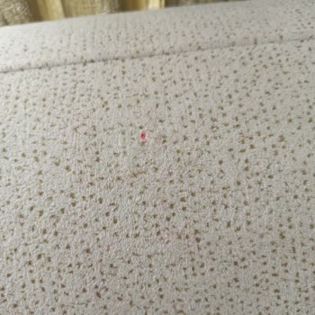 Ödeme Yapılan Bohem Üçlü Kanepe Teşhir Ve Defolu Olarak Gönderildi