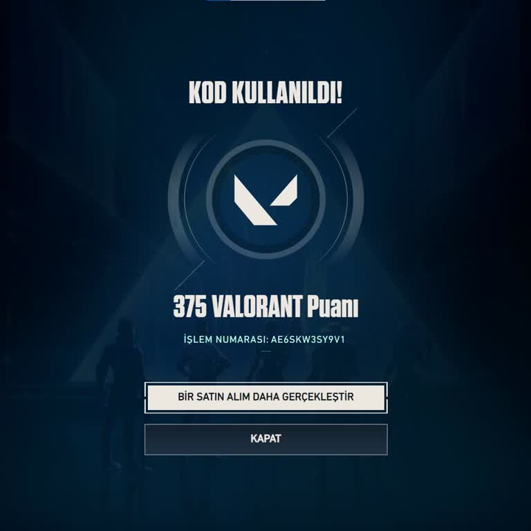Satın Aldığım 2950 VP Yerine 375 VP Kodu Gönderildi
