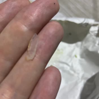 Dönerde Cam Parçası Ve Sağlık Güvenliği İhlali