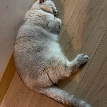 Eki aç