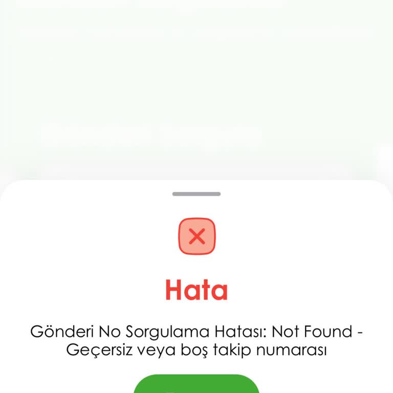 Kargo Takip Linki Çalışmıyor, Müşteri Hizmetleri Paketi Görmüyor