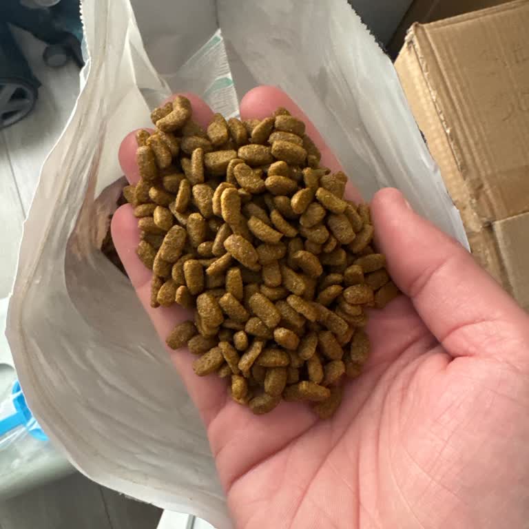 Sahte Kedi Maması Kedime Kanlı İshal Yaptı, İade Talebi