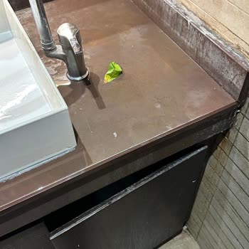 Adana Ziyapaşa Kahve Dünyası Şubesinde Hijyen Sorunu Ve Saygısız Personel Davranışı