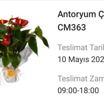 Sipariş Edilen Antoryum Görseliyle Uyuşmayan Çiçek Teslimatı