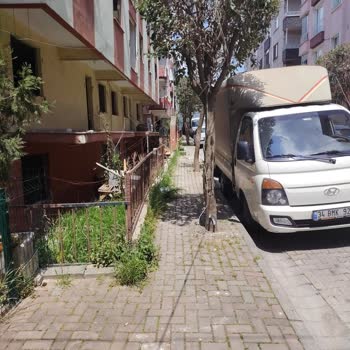 Sabit İnternet Kesintisi Ve Onarım İhmali Şikayeti