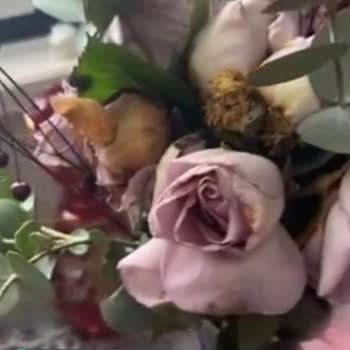 Çiçek Sepeti Asla Kabul Etmiyorum