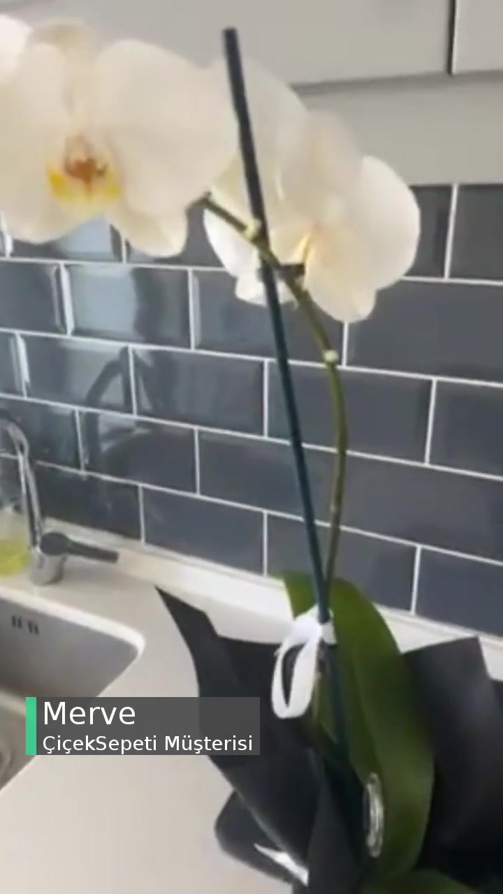 Çiçek Sepeti İşinizi Gerçekten Doğru Yapın Ya Kurumuş Çiçeği Gönderemezsin? videonun kapak resmi