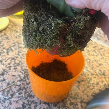 Toprak Yerine Ot Doldurulmuş Çiçek Gönderimi Ve Savunmacı Müşteri Hizmeti