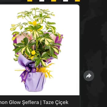 Yanlış Ürün Teslimi Ve Müşteri Hizmetlerinden Cevapsızlık