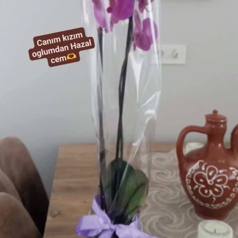 Yanıltıcı Görseller Ve Düşük Kalite İçin Ücret İadesi Talebi