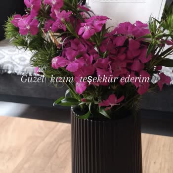 Görseldeki Çiçekle Gelen Çiçek Arasındaki Fark