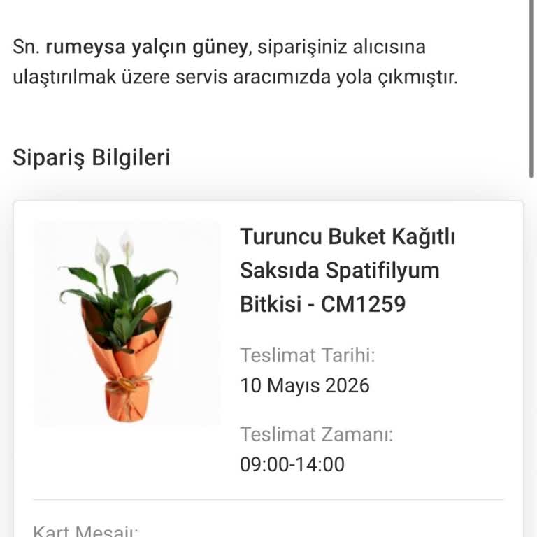Teslim Edilmemiş Çiçek Anneler Gününde Mahcupiyet Ve Güven Kırıklığı