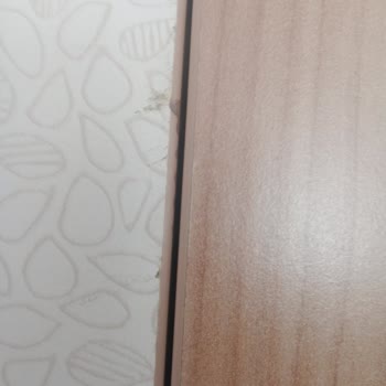 Çankırı Kaya Nakliyat'tan Aldığım Taşıma Hizmetinde Eşyalarımın Hasar Görmesi