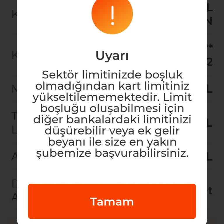 Albaraka Türk Online Limit Artışı Başvurularının Reddedilmesi Ve Şubeye Yönlendirilmesi