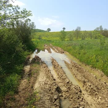 Sepetçi Köyü Tarla Yolları Bakımsız, Araçlar Zarar Görüyor