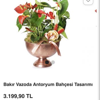 Kırık Vazo Ve Görseldekiyle Uyuşmayan Çiçekler İçin Tam İade Talebi