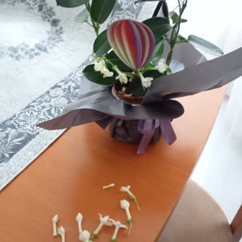 Yanlış Ürün Gönderimi Ve Yetersiz Müşteri Hizmetleri