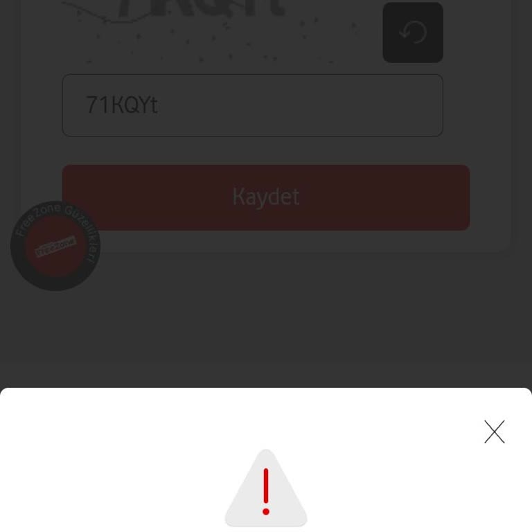 FreeZone Kullanıcı Tanımlama Sorunu
