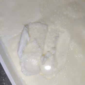Kaymaklı Yoğurtta Kıl Bulunması Ve Hijyen Sorunu