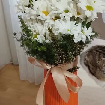 Anneler Günü'nde Geç Teslimat Yanlış Çiçek Ve Fazla Ücret