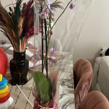 Anneler Günü Siparişindeki Orkide Çürük Ve Solgun Geldi