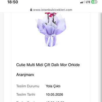 Teslim Edildi Görünen Orkide Müşteriye Ulaşmadı Ve İade Talebi