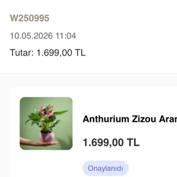 Anneler Günü Çiçek Siparişlerim Teslim Edilmedi Ve Bilgi Alınamıyor