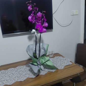 Yanlış Çiçek Teslimatı Ve Cevapsız Müşteri Hizmetleri