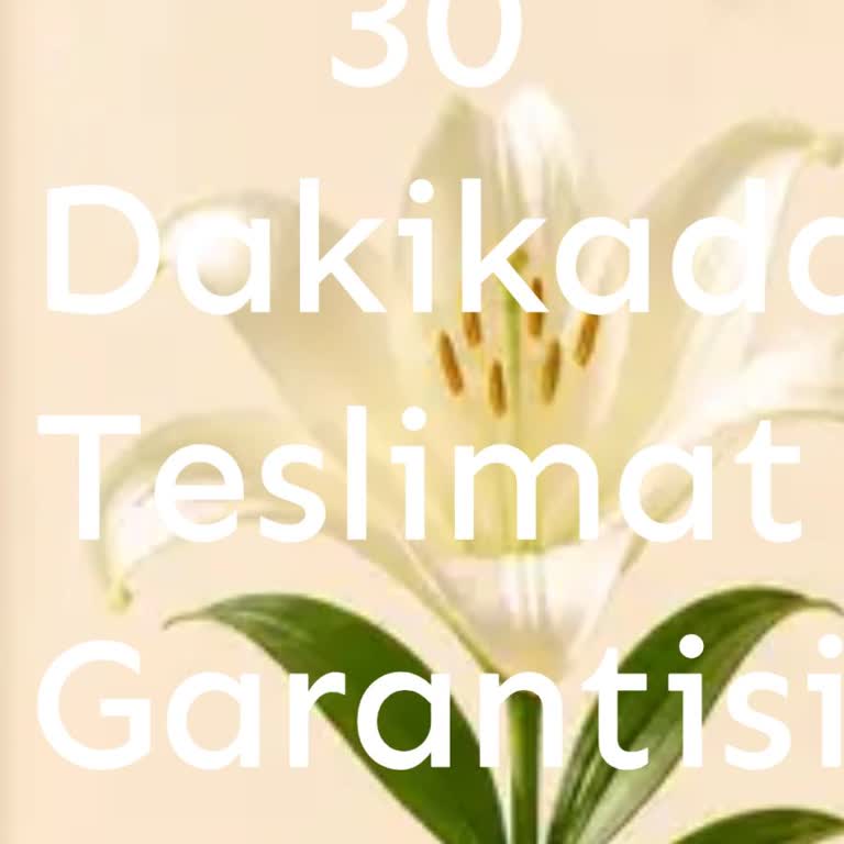 Anneler Günü Çiçeği Teslim Edilmedi, EFT İadesi Talebi