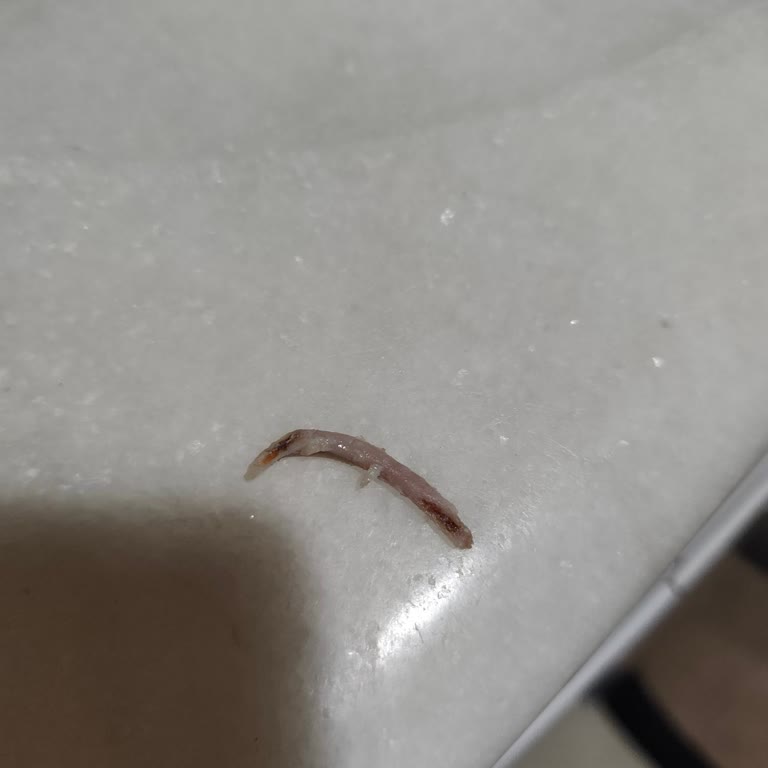 Kemiksiz Olması Gereken Piliç Fileto Kuşbaşı Ürünün İçinde Keskin Kemik Bulundu