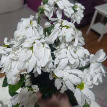 Anneler Günü Çiçekleri Solmuş, İade Talebi