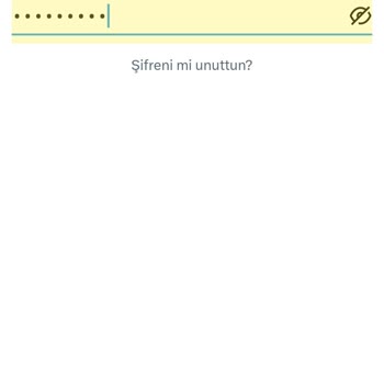 X - Twitter Hesabıma Hiçbir Şekilde Giriş Yapamıyorum