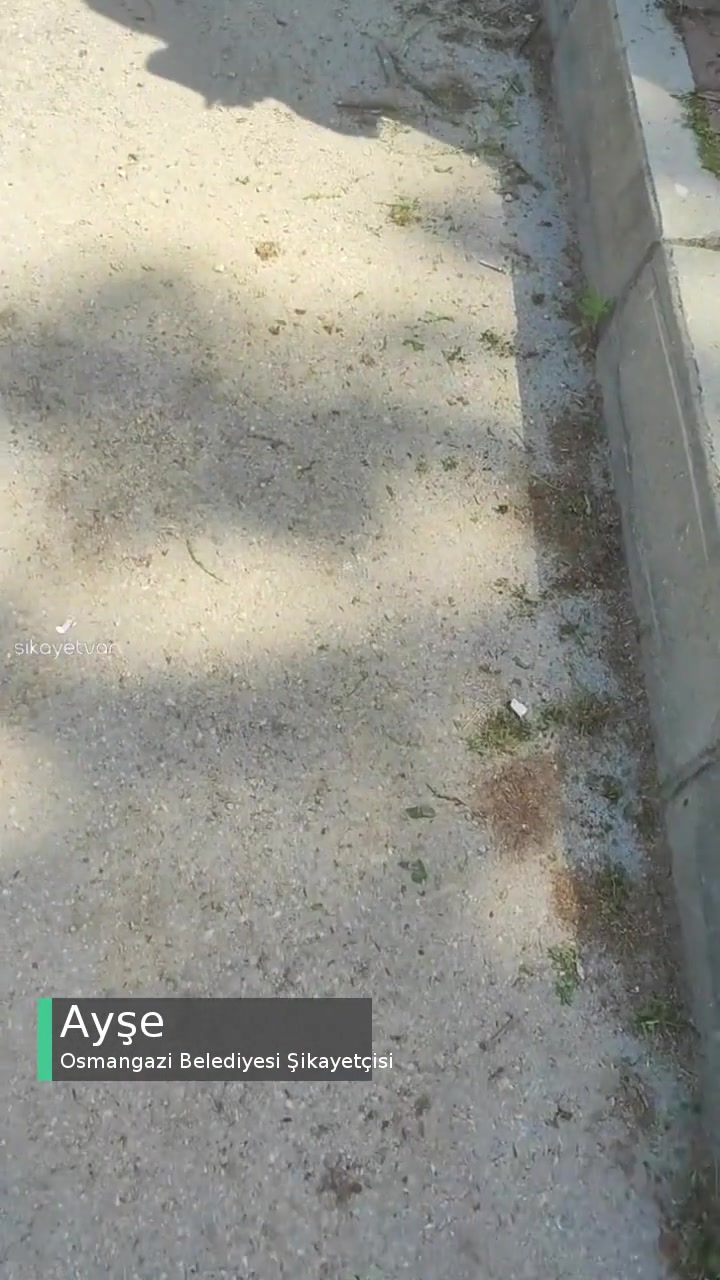 Osmangazi Belediyesi Temizlik Yapılsın Lütfen! videonun kapak resmi