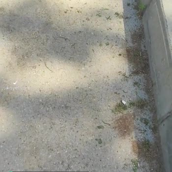 Osmangazi Belediyesi Temizlik Yapılsın Lütfen!