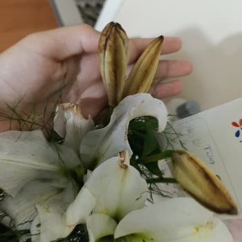 Çiçek Sepeti Siparişinde Çiçekler Solmuş Ve Teslimat Bilgisi Gecikti